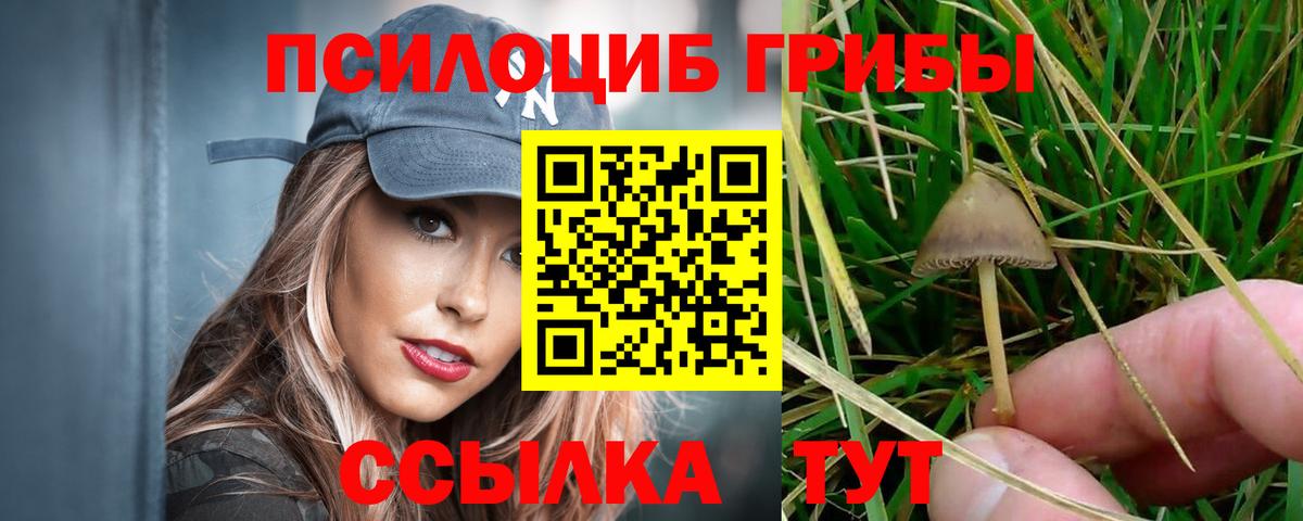 Вольск  закладки  Вход с VPN  Галлюциногенные грибы ЛСД 
