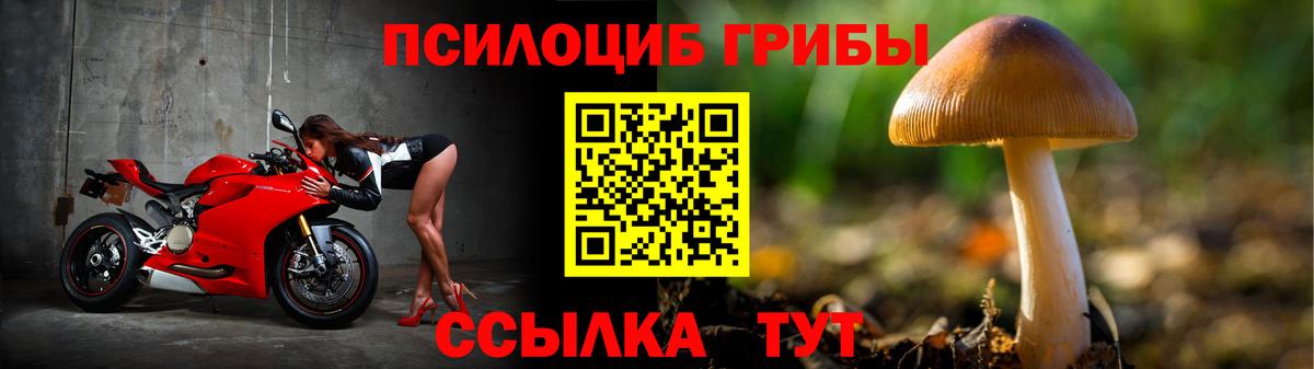Псилоцибиновые грибы мухоморы Вольск
