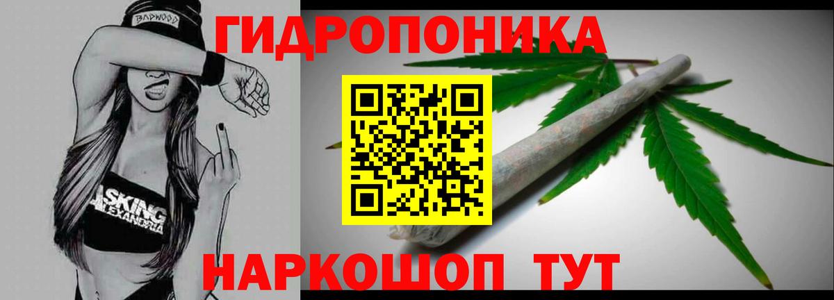 Конопля планчик Вольск